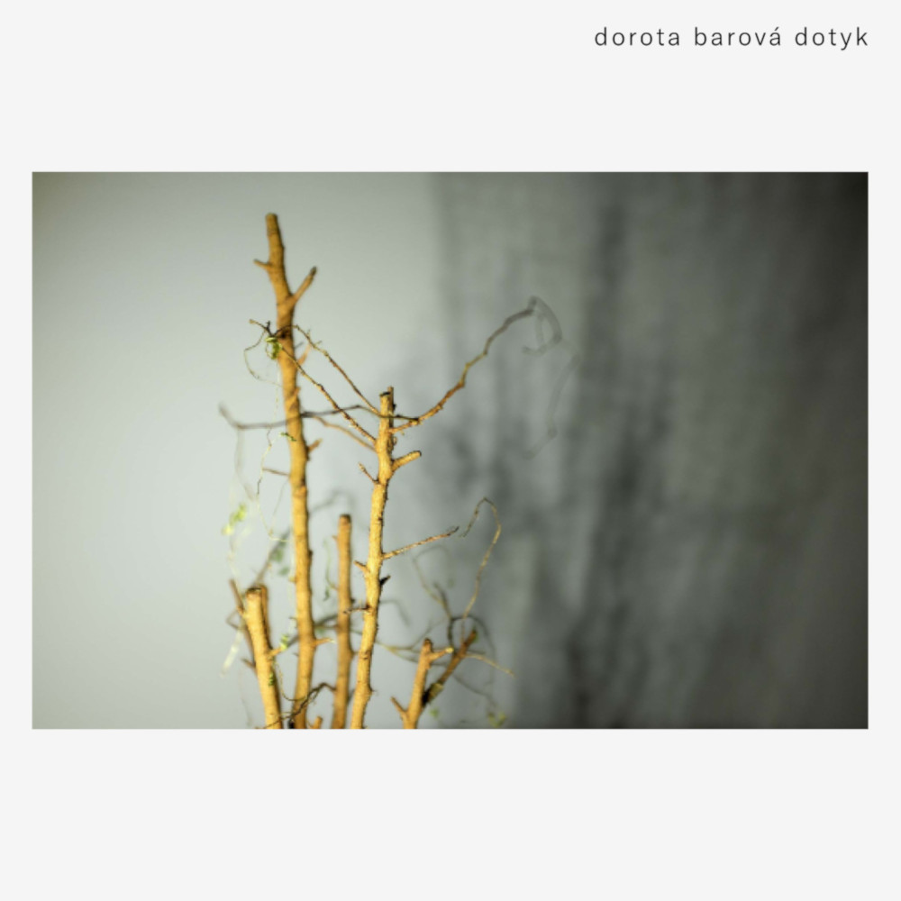 ANI 100_Dorota Barova_Dotyk_COVER-1080x1080